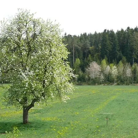 2 Fuchskreuzhof Сasa de vacaciones Simmersfeld