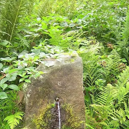 2 Fuchskreuzhof